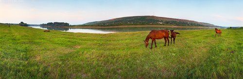 Цыганский край