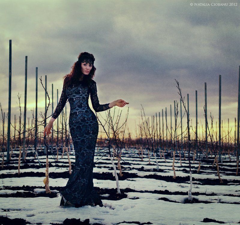 Ивушка фото превью