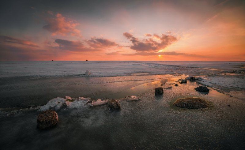 Поздняя весна-II фото превью