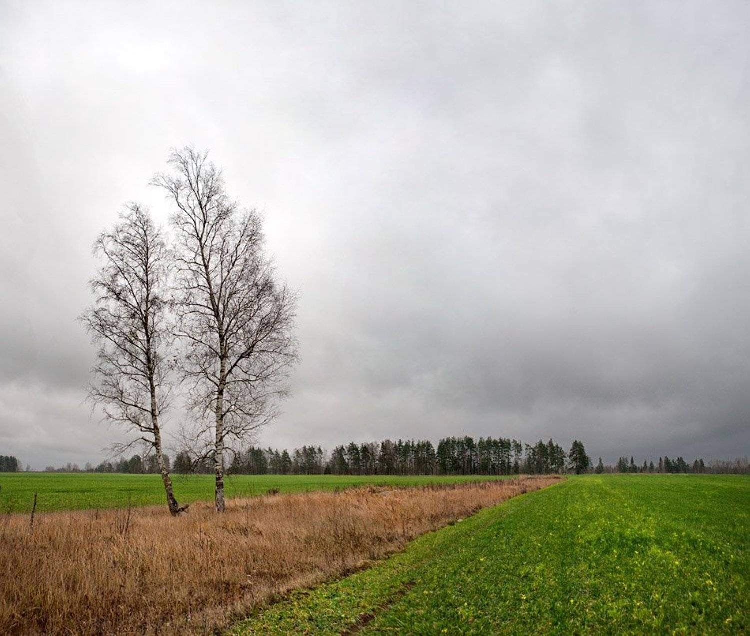 осень, в, полях..., Владимир Кириченко (vlkira)