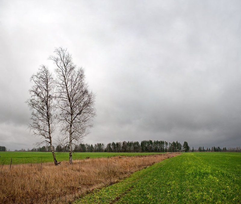 осень, в, полях... Осень в полях... фото превью