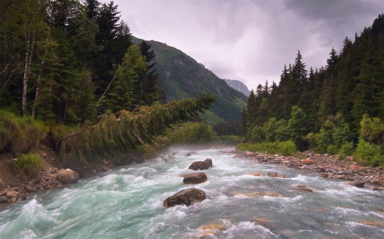 , Николай Мысливцев