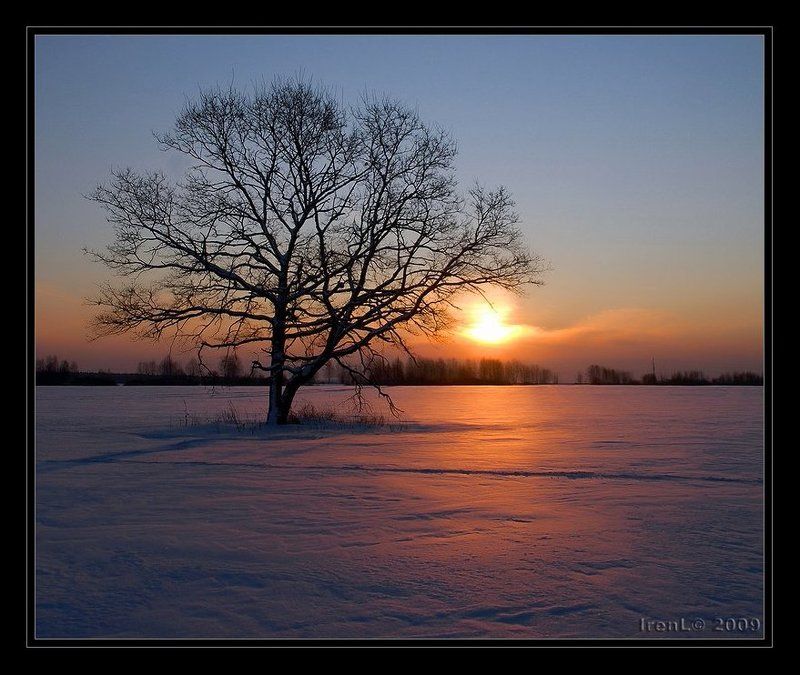 Простые виды одного вечера #1 фото превью