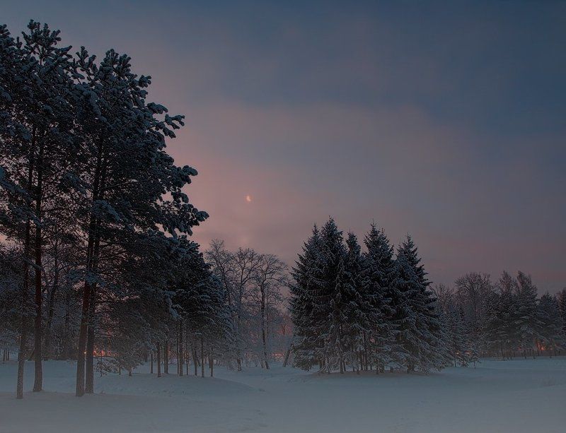~60~ фото превью