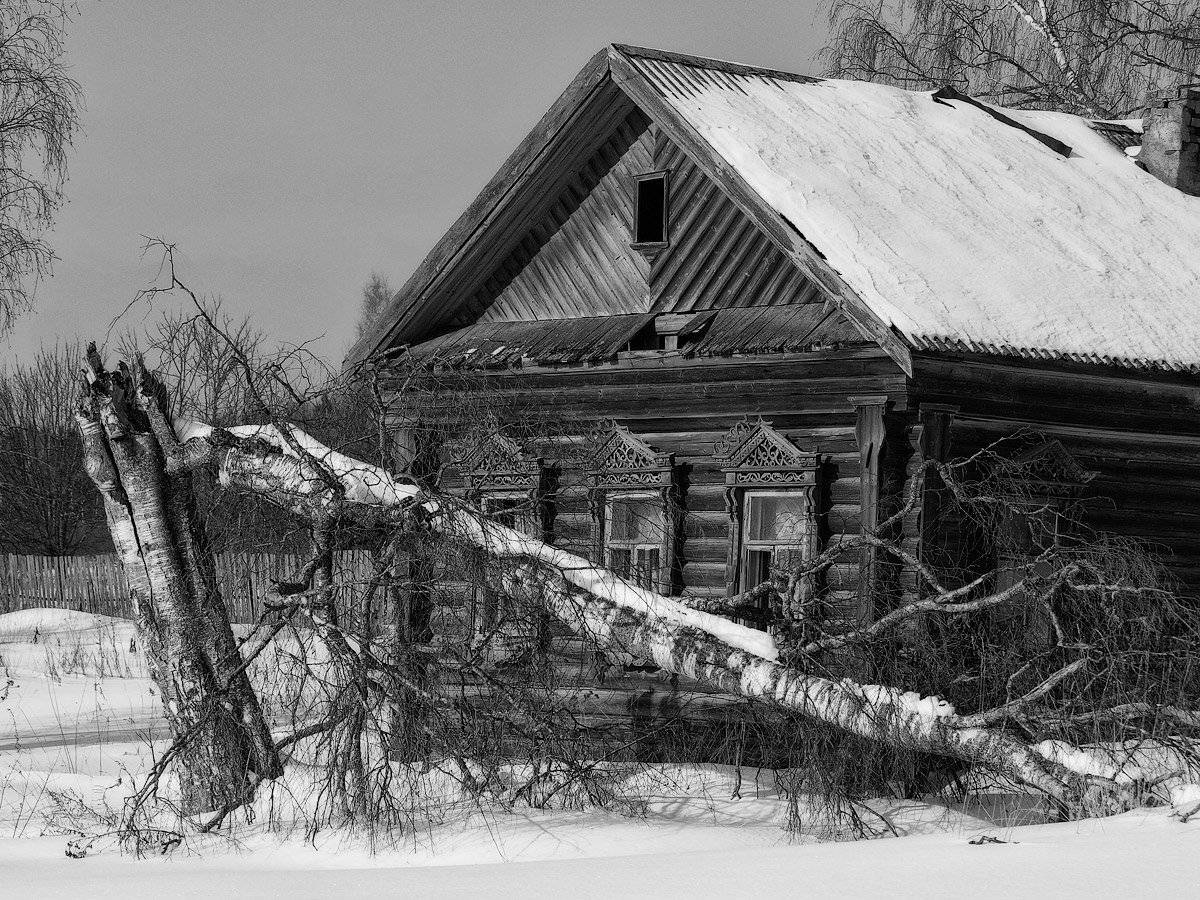 , Владимир Перепечаев