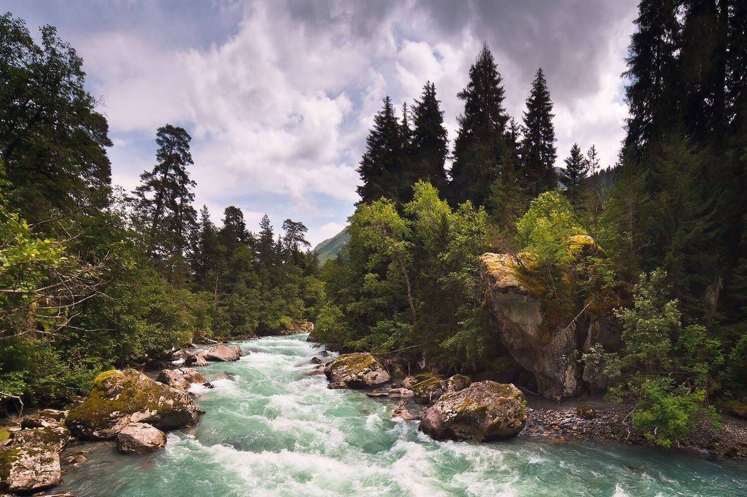 , Николай Мысливцев