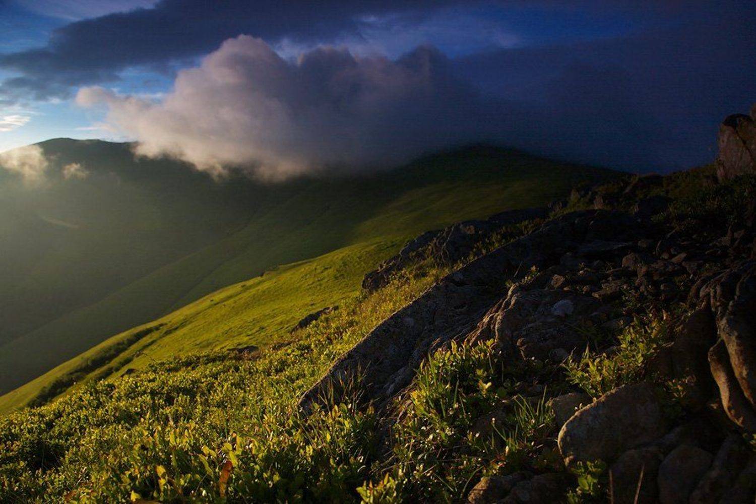 карпаты,, Тарас