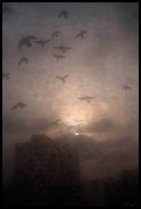 Городское фэнтези фото превью