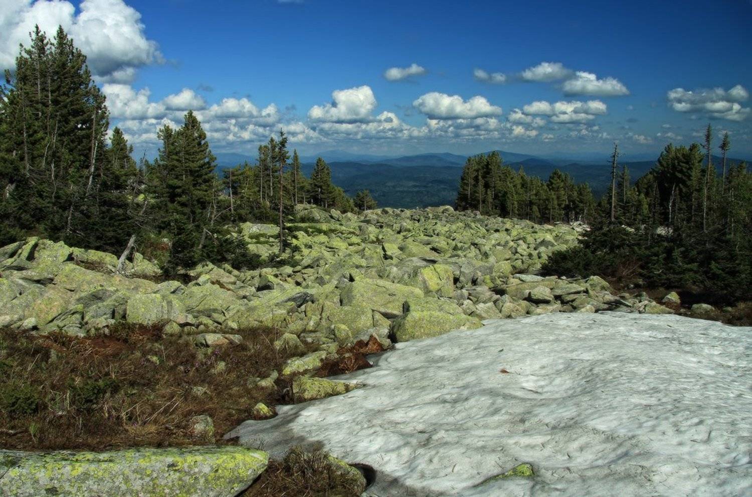 горная шория, шерегеш, Галина Хвостенко