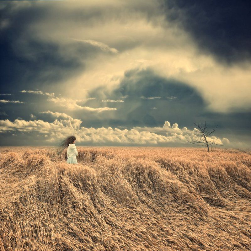 Feeling the breeze фото превью