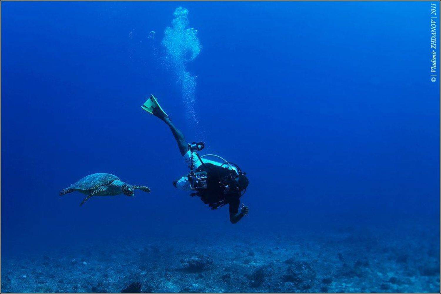 , Владимир Жданов