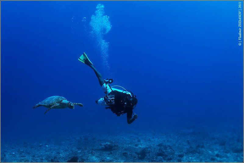 Про фотосессию фото превью