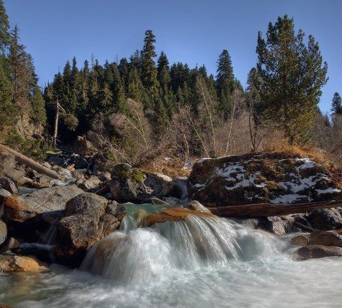 Живой водой, нас напоят здесь реки