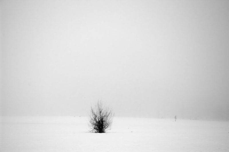 ... фото превью