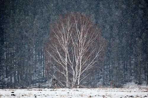 First snow