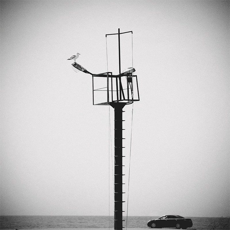 Silence фото превью