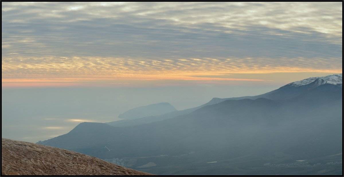 , Владимир Метцгер