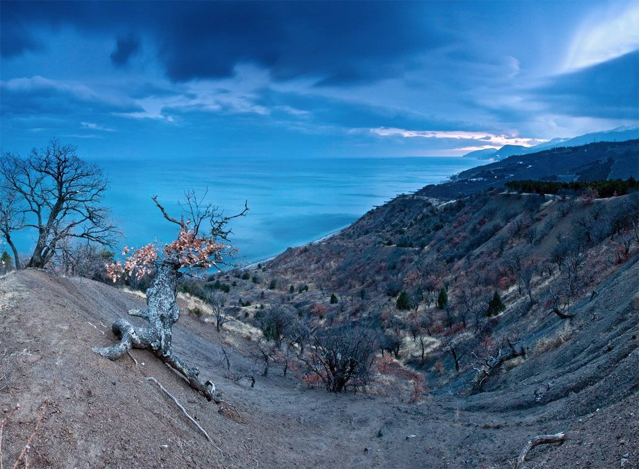 , Станислав Савицкий