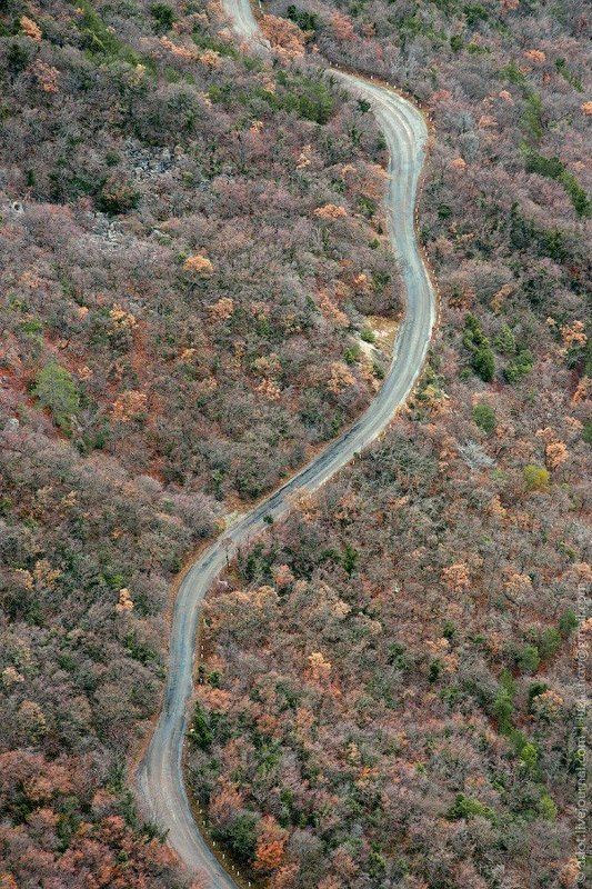Landscapes фото превью