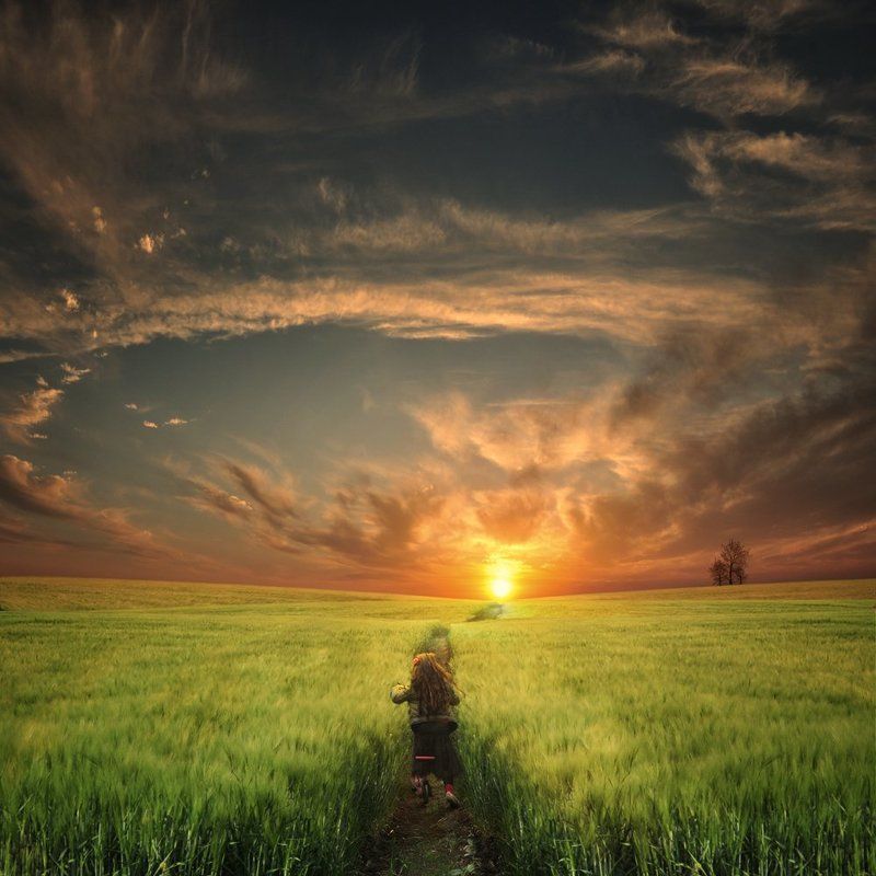 The dream catcher фото превью