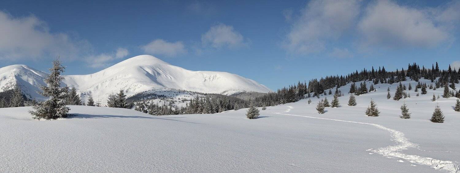 , Михаил Псарёв