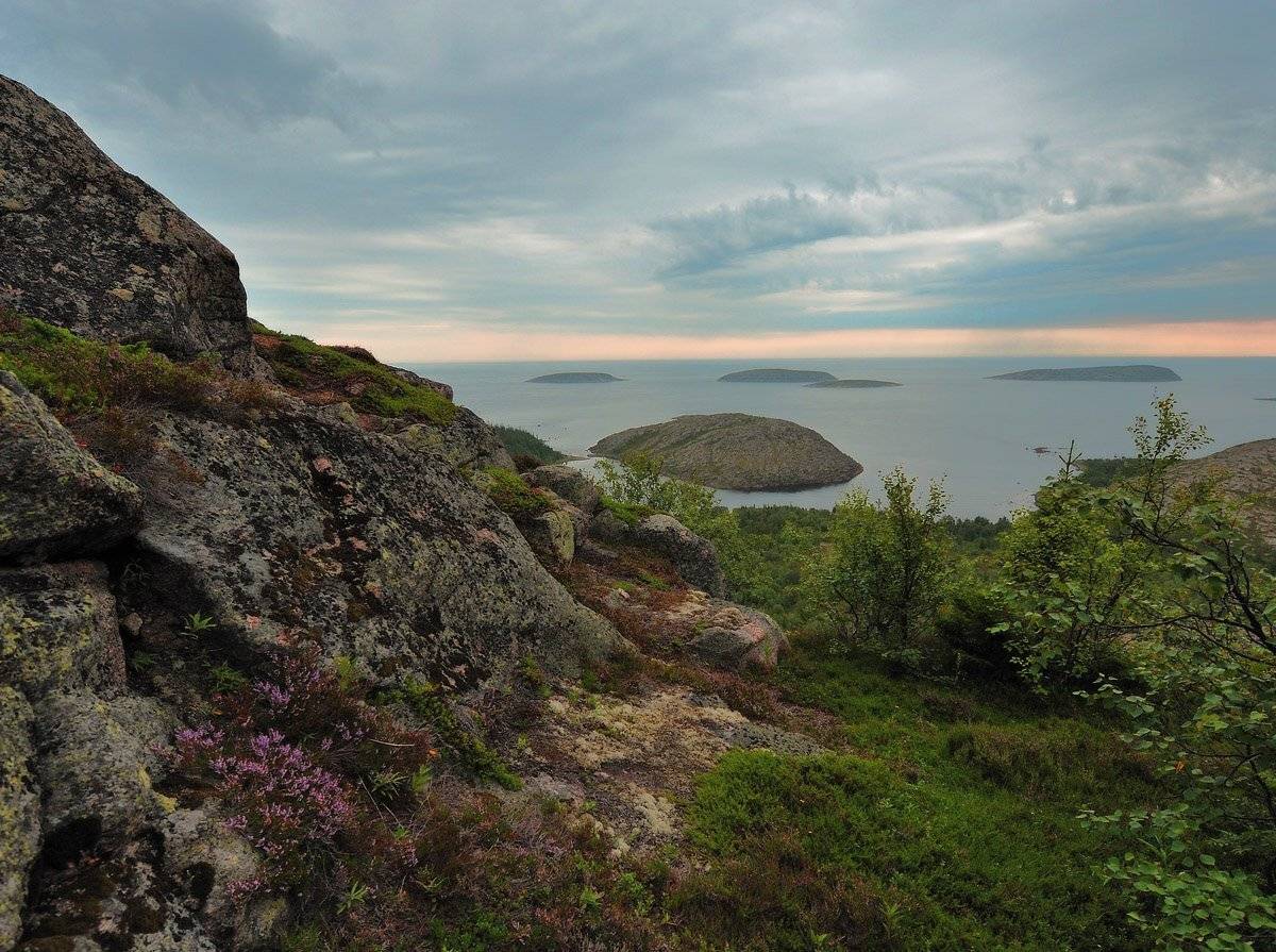 , Сергей Седов