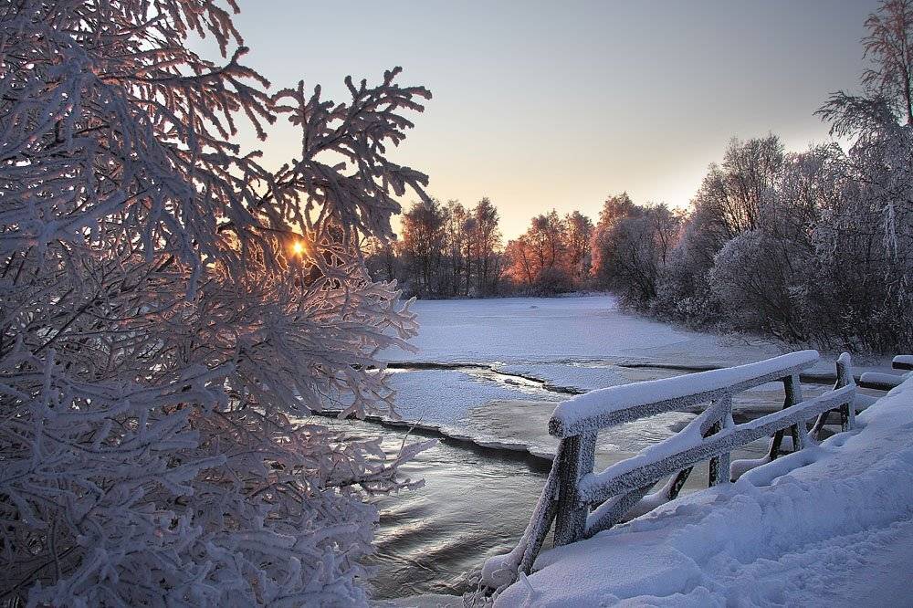 , Александр Коротков