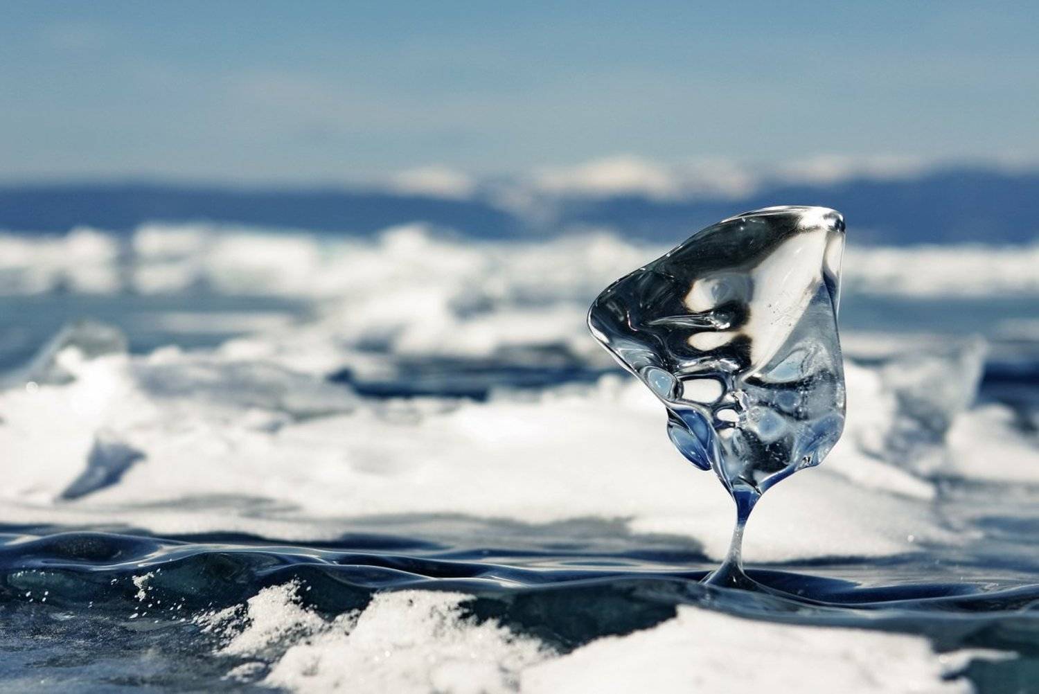 , Дмитрий Кононов