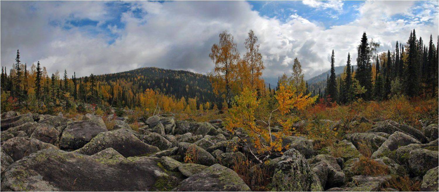поднебесные, зубья, Александр Устинович