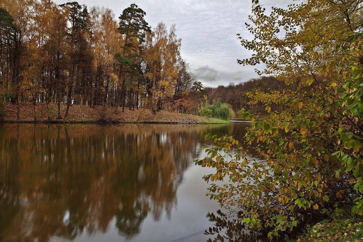 царицыно, москва., Андрей Леонидович