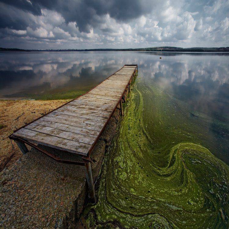 , Михаил Трахтенберг