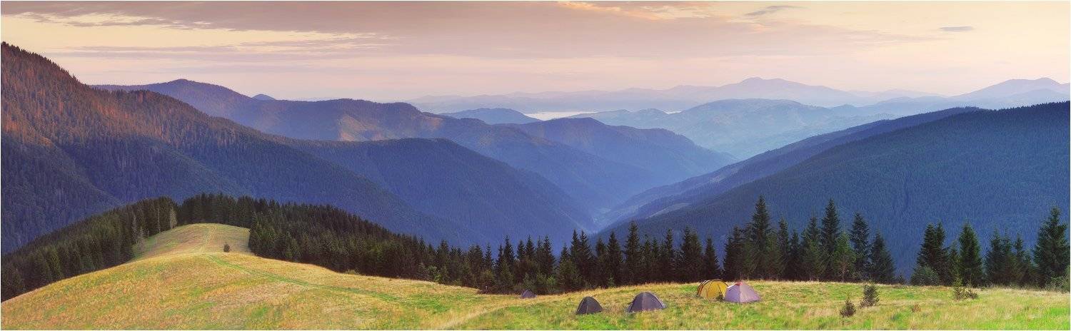 , Денис Кривой