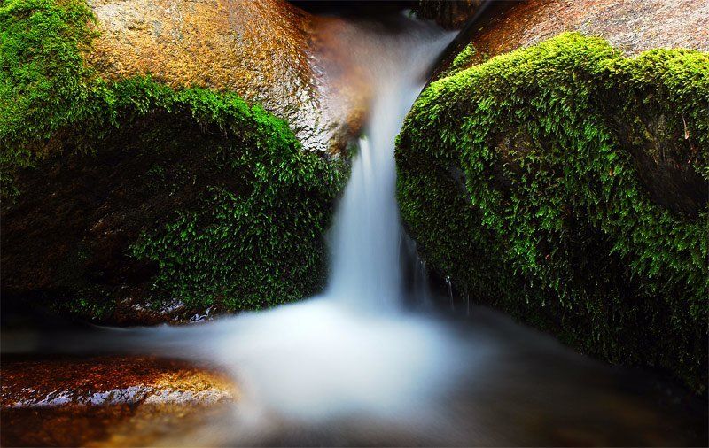 Source of life фото превью