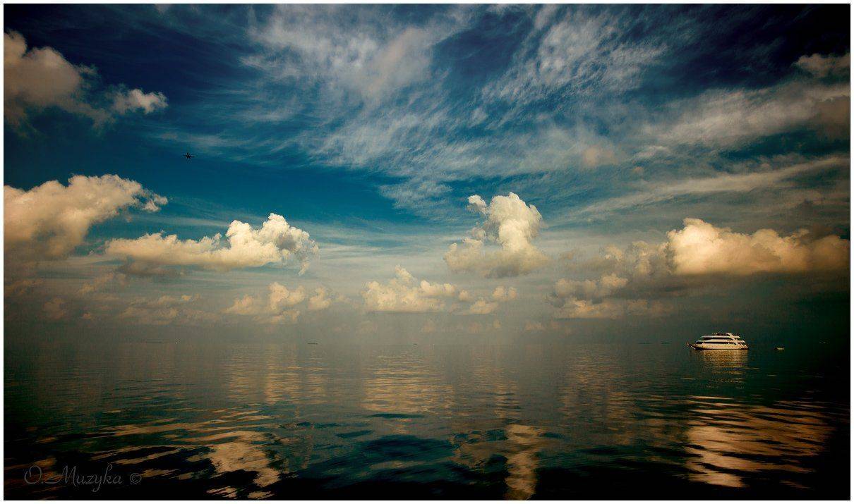 , Оксана Музыка