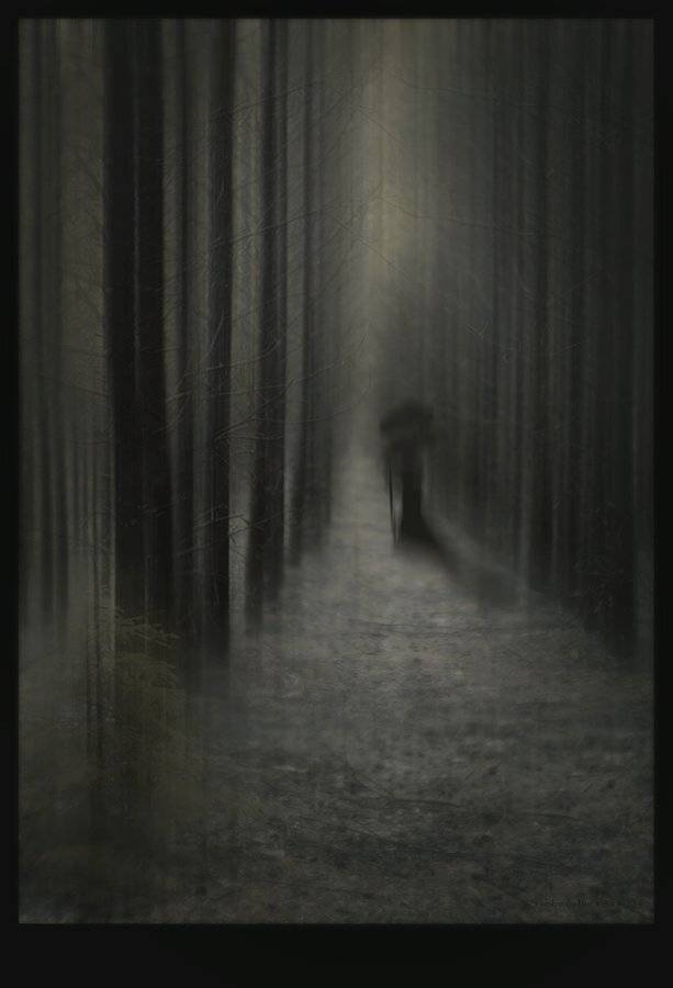 , Svoboda Andreeva