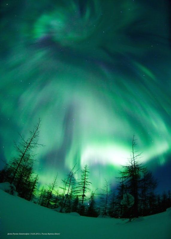 пейзаж, природа, россия, север, якутия, зима, время года, ночь, космос, северное сияние, полярное сияние, тайга, фото, руслан ахметсафин,эмоции, восторг, зелёны Северное Сияние в Якутии ! фото превью