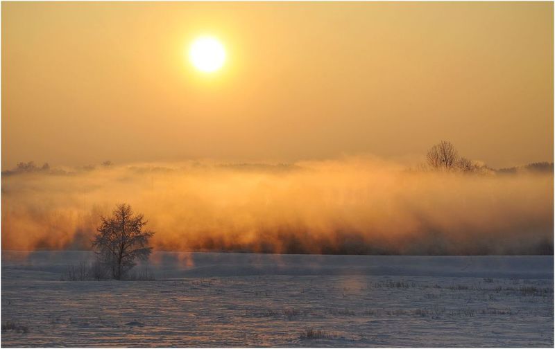 **золотое морозное утро** фото превью