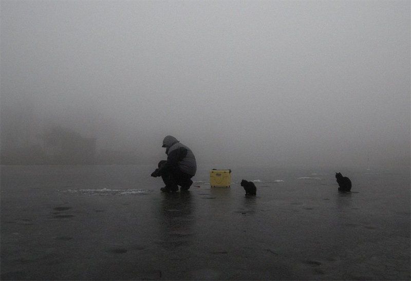 В ожидании фото превью