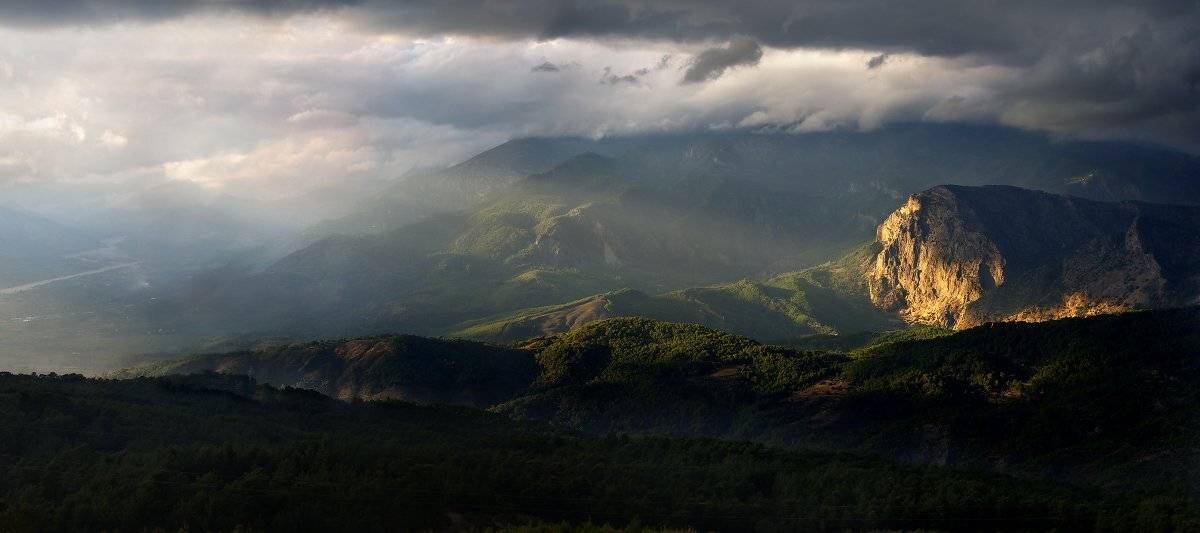 , Гамидов Мурад