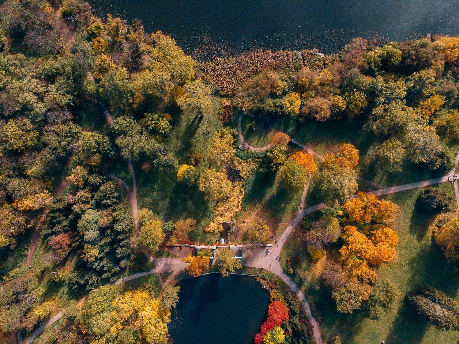 осень, дрон, парк, мавик, эир, dji, golden, nature, Максим Зайцев