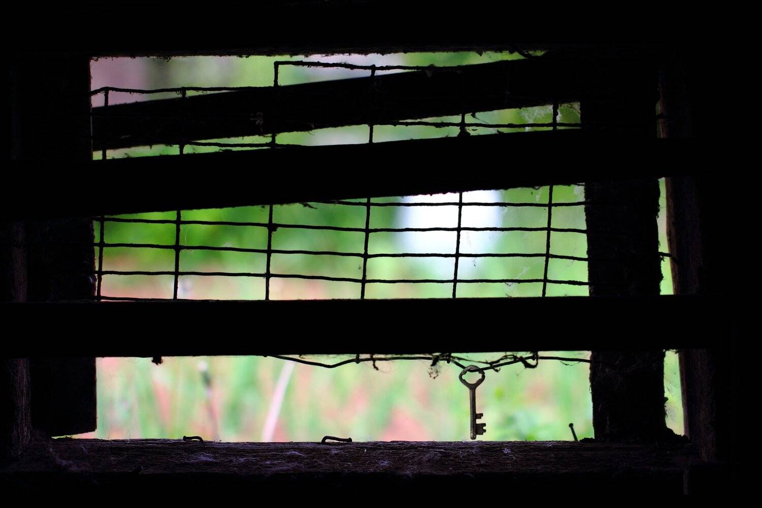 креатив, обработка, концепция, окно, взгляд, concept, housewarming, window, home, summer, Дмитрий Салтыков