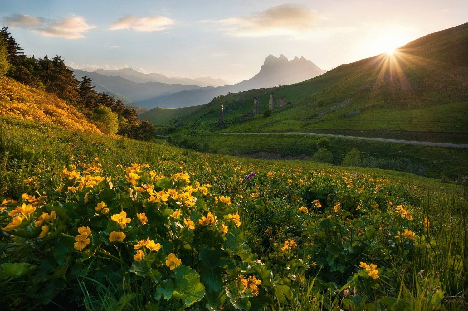 , Алексей Дранговский