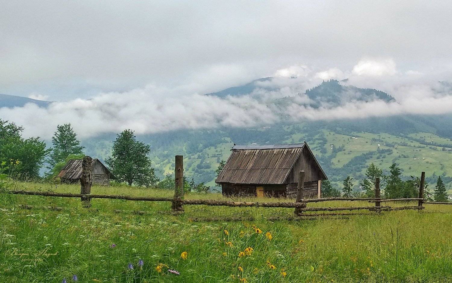 карпаты, лето, ясиня, горы, туман, утро, Валерий Наумов