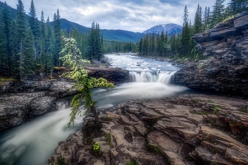 river, water,  Sheep River фото превью