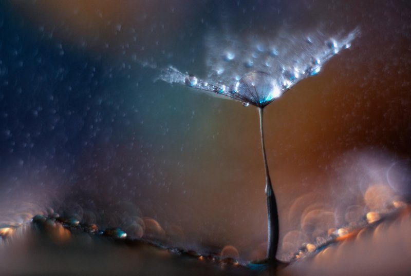 Волшебство фото превью