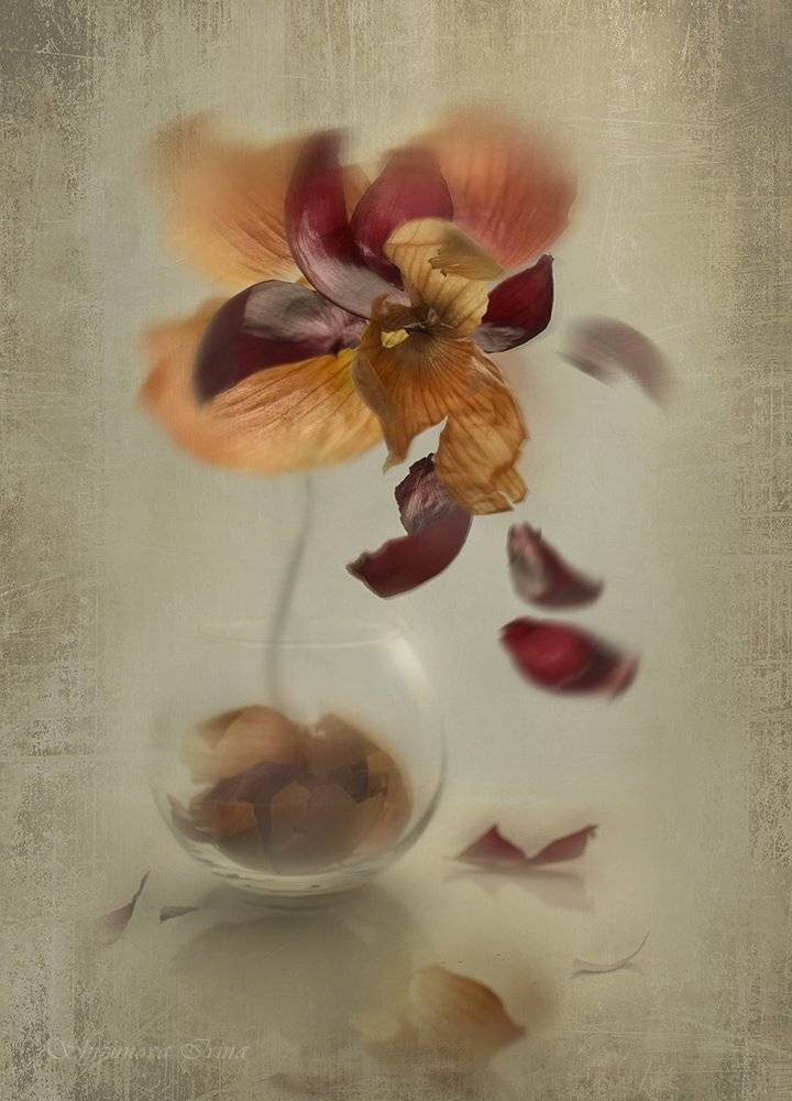 коллаж, луковая шелуха, Шипунова Ирина