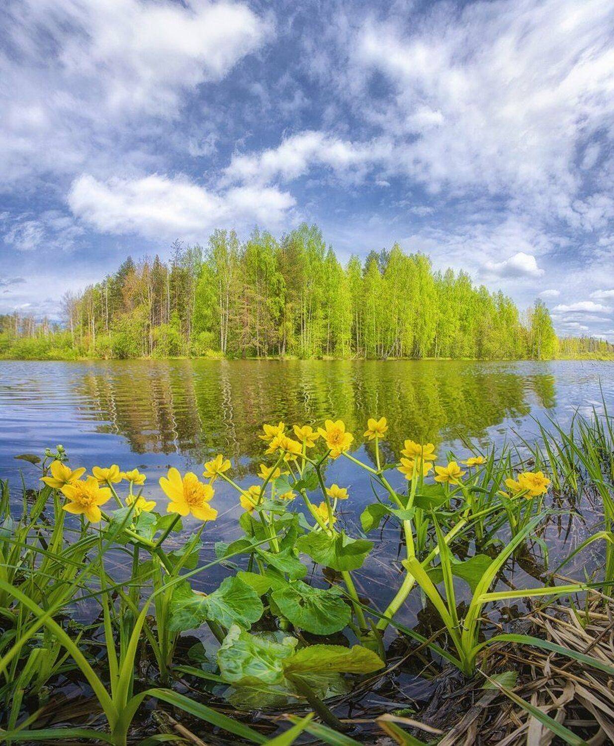 , Устюжанин Михаил