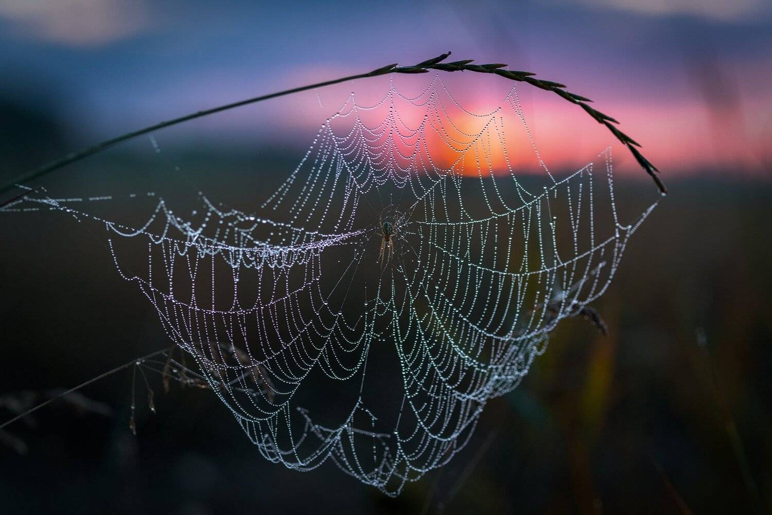 , Юрий Юрьев