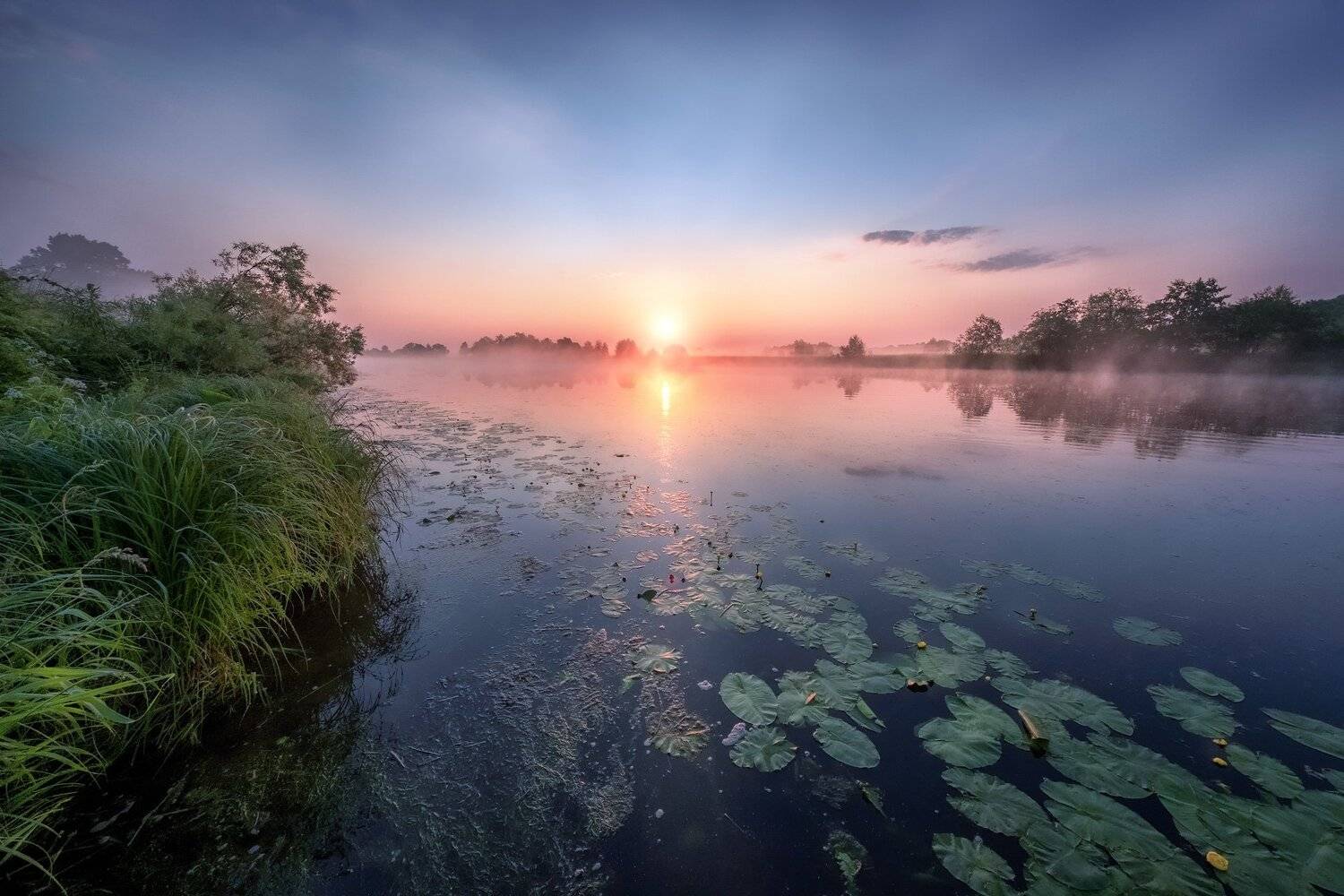 рассвет, дубна, река, солнце, туман, кувшинки, покой, тишина, небо, отражения, Андрей Чиж