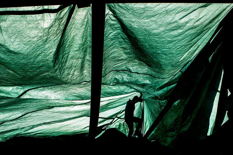 zebrophoto andrey veselov  андрей веселов   фото превью